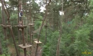 En el corazón del bosque 